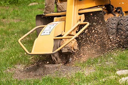 Top Tree Care Inc.