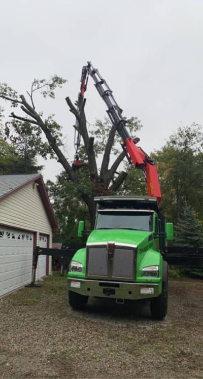 Top Tree Care Inc