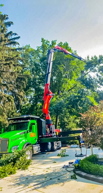 Top Tree Care Inc